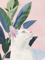 Cat Lyfe 5