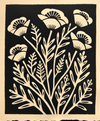 Lino 4