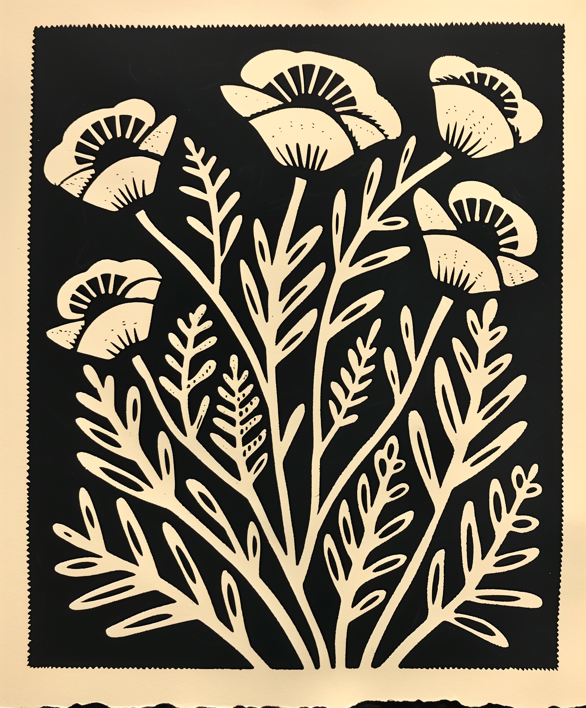 Lino 4