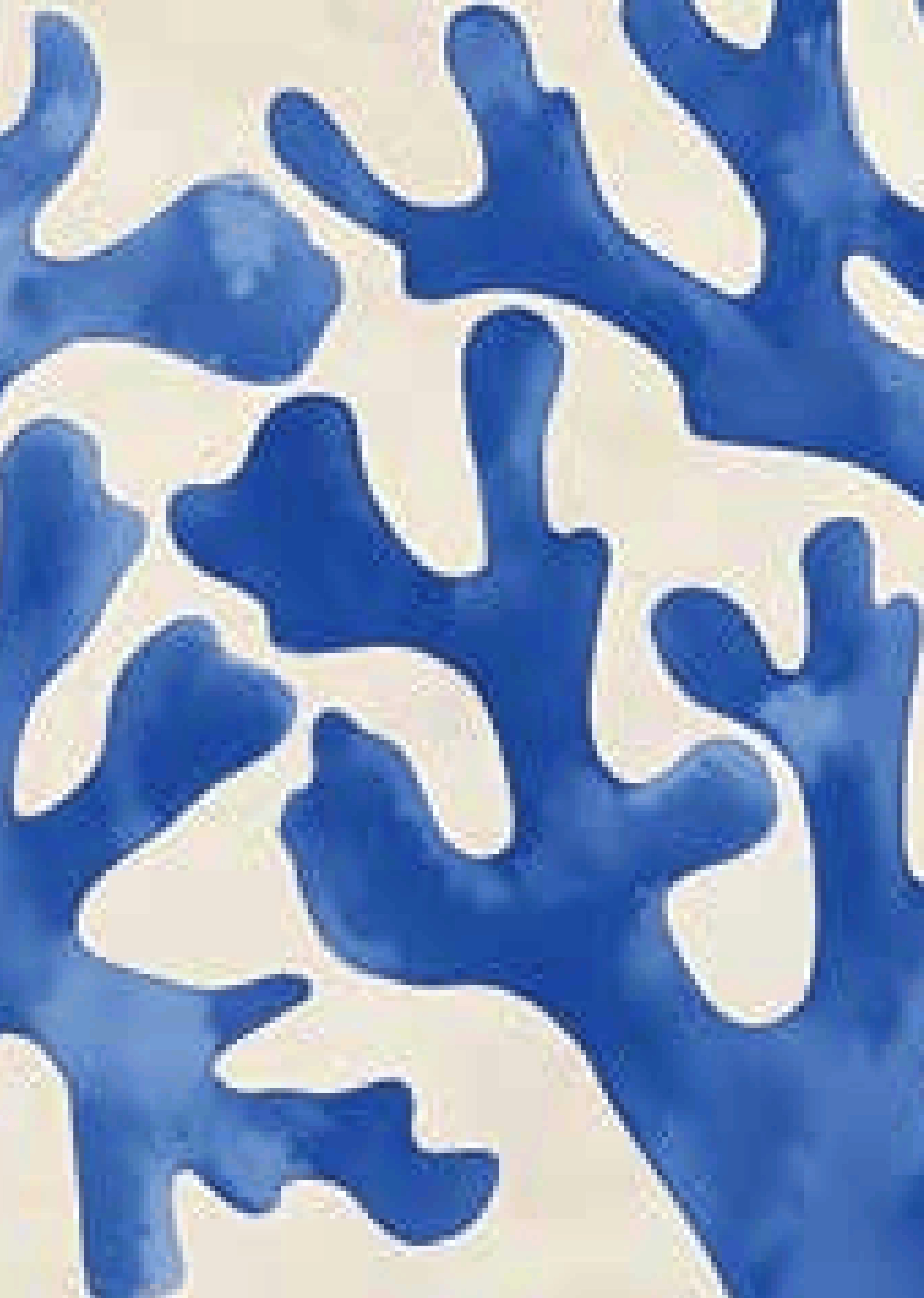 Watercolour Coral