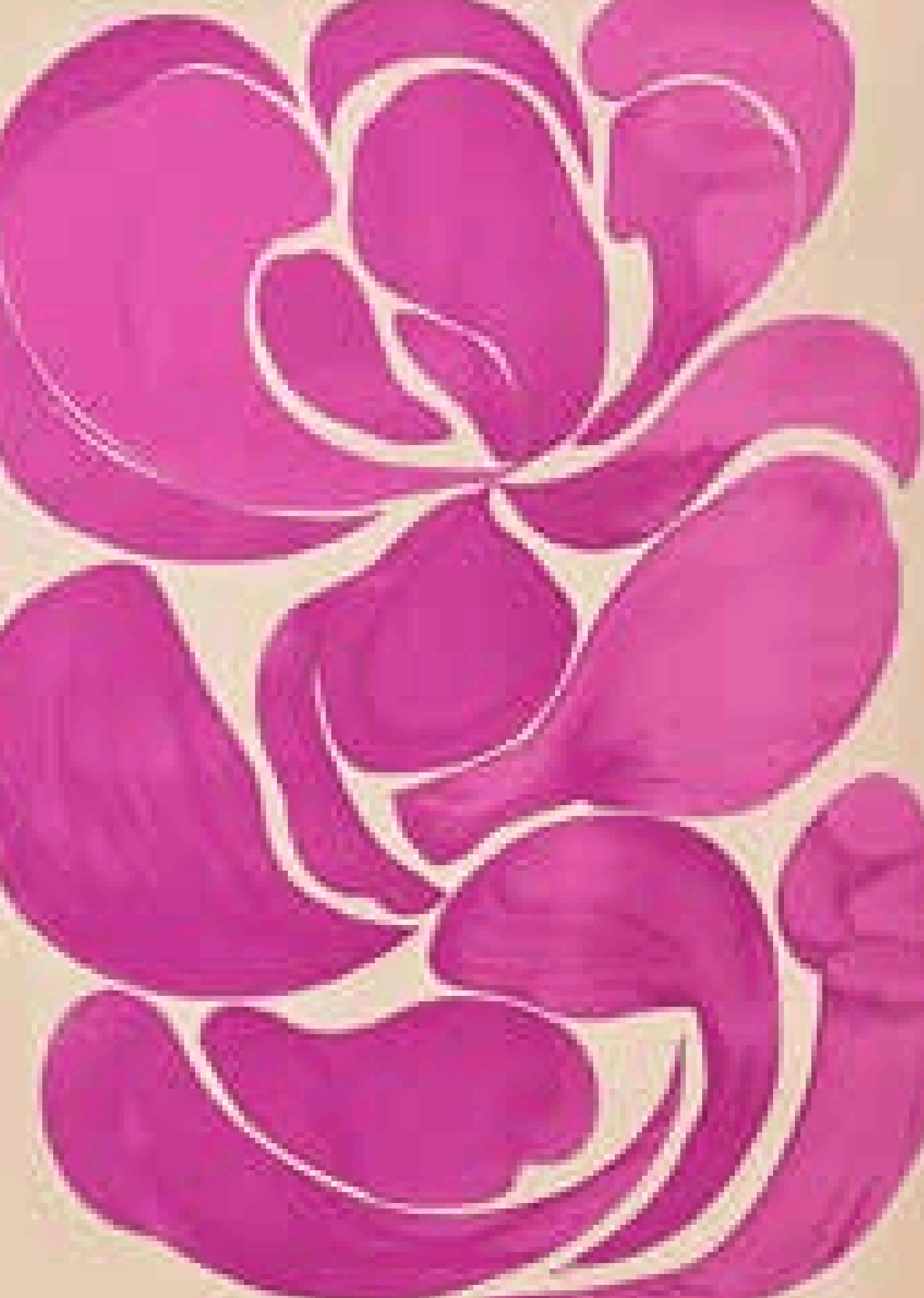 Abstract Floral