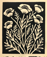 Lino 4