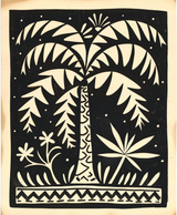 Lino 5