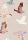 Migration 1