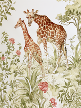 On safari 2