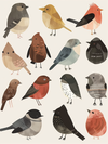 Species Study